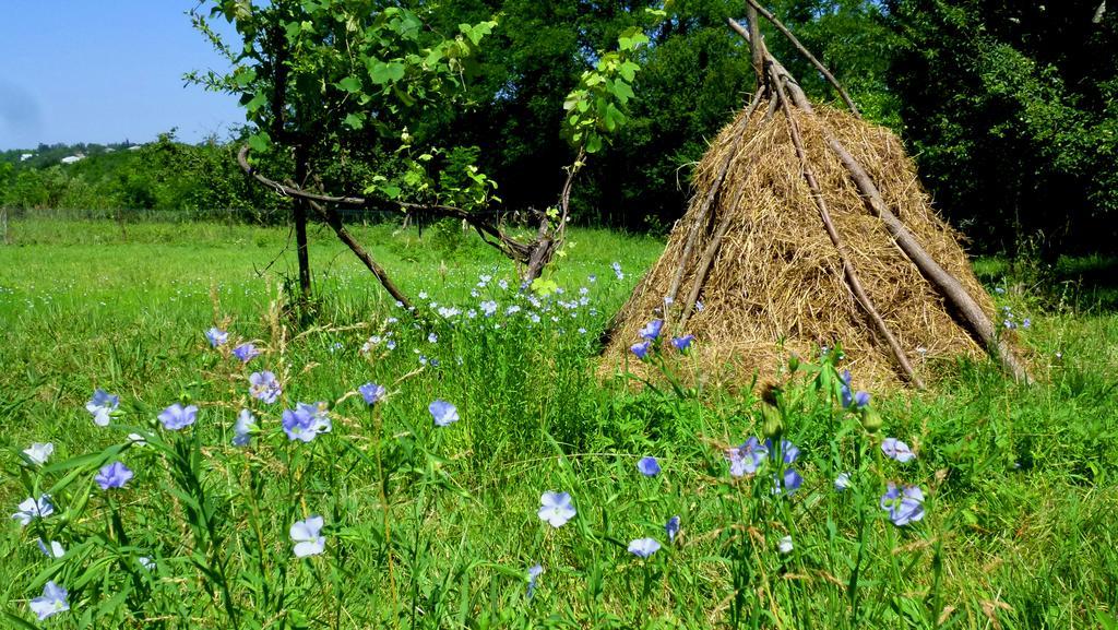 Country House Uliana チャルトゥボ エクステリア 写真