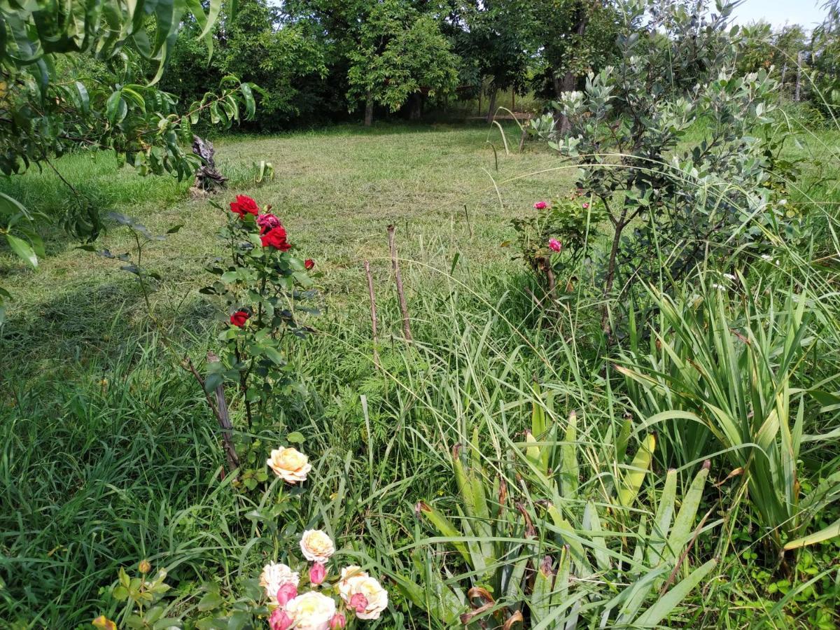 Country House Uliana チャルトゥボ エクステリア 写真
